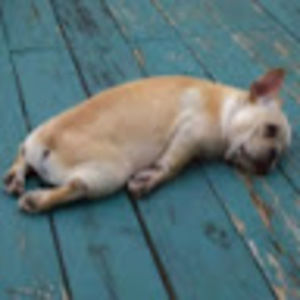 Meet your Posher, Andi